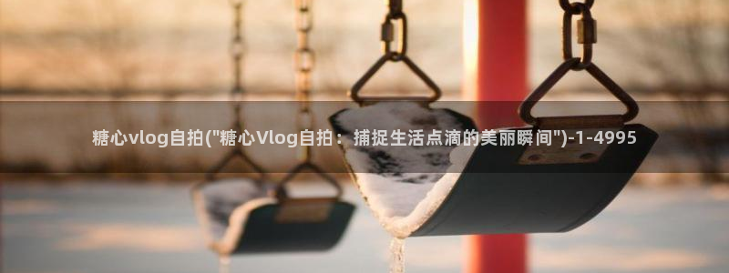 糖心在线vlog