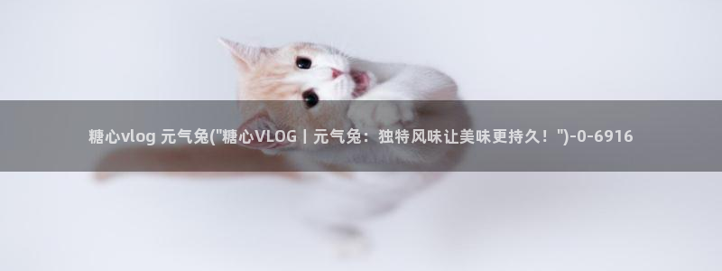 糖心vlog姐弟