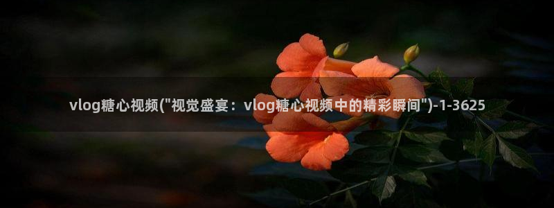 糖心vlog进不去：vlog糖心视频(\