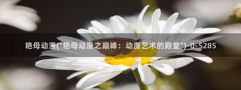 免费动漫在线观看