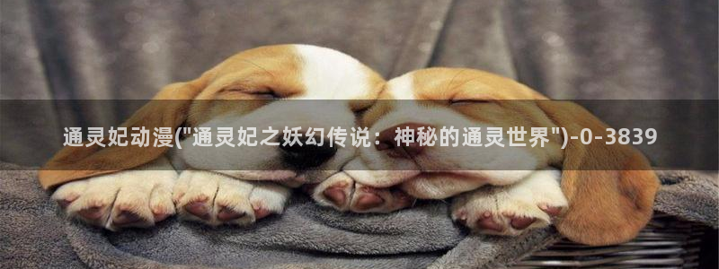 万有引力动漫