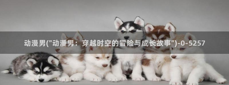 我的狐仙女友动漫