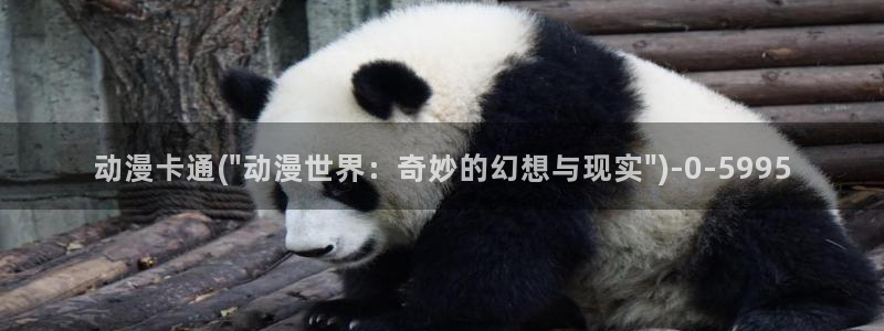动漫黄片