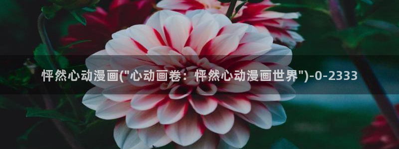 看动漫的网站