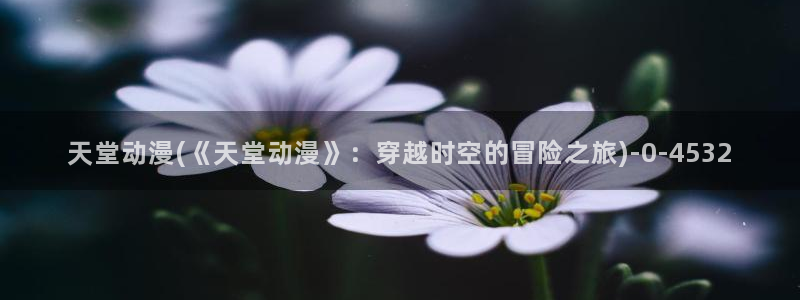 黄页动漫网站